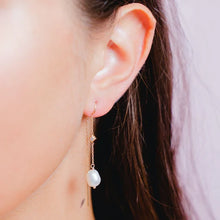 Load image into Gallery viewer, Burren Way to Help earrings E1154