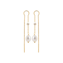 Load image into Gallery viewer, Burren Way to Help earrings E1154