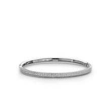 Load image into Gallery viewer, Bracelet 2874ZI