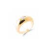 Hidden Treasure Ring