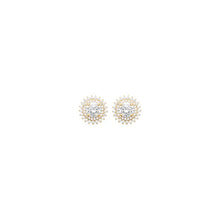 Load image into Gallery viewer, Madelyn Earrings
