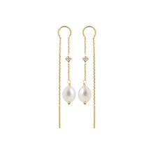 Load image into Gallery viewer, Burren Way to Help earrings E1154
