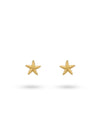 24Kae
Earstud In Starfish Shape 42489Y Gold colored