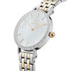 Petite Lumine Bezel 5-Link Two Tone Ladies Watch DW00100665