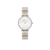 Petite Lumine Bezel 5-Link Two Tone Ladies Watch DW00100665