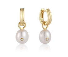 Load image into Gallery viewer, ANIA HAIE Earrings Pearl Power E043-04G
