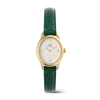 Daniel Wellington Petite Ovale Gold & Green Python Watch | DW00100720