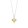 Heart necklace with pendant