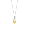 Heart necklace with pendant
