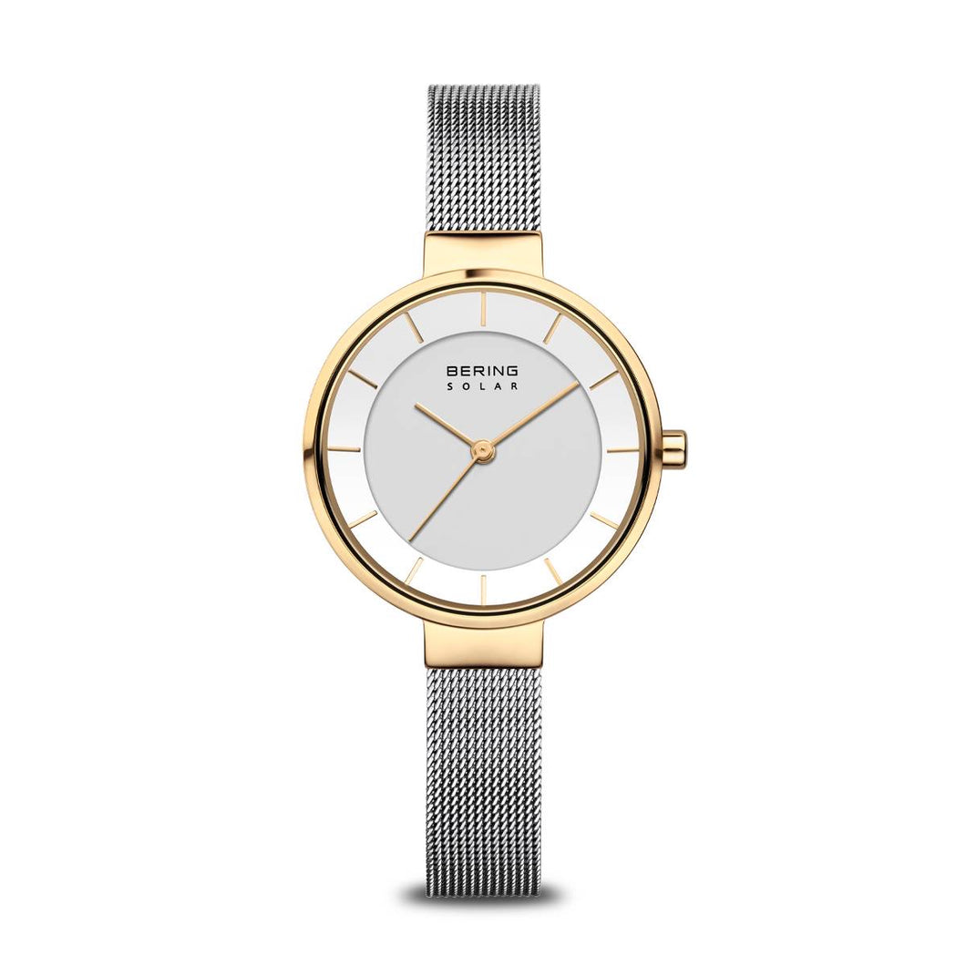 Gold and silver mesh strap